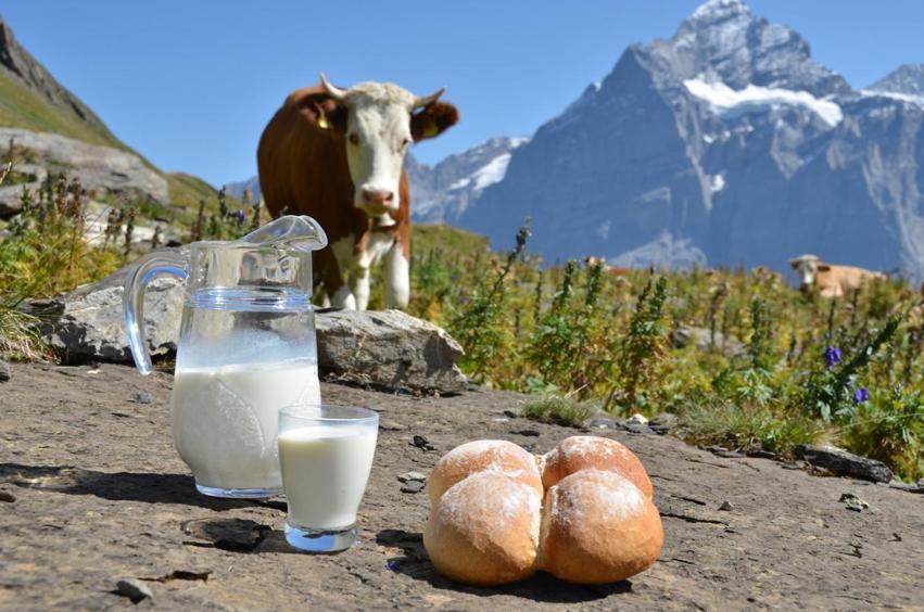 Berghaus Alpenland Apartment Klais Bagian luar foto